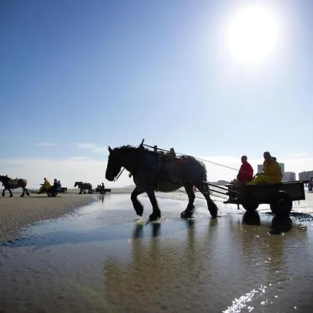 Appartamento In By The Nieuwpoort