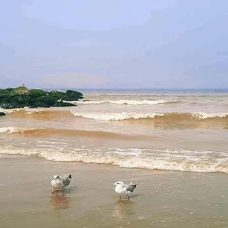 In By The Nieuwpoort