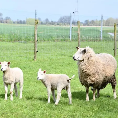 Appartamento In By The