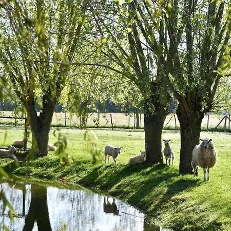 In By The * Nieuwpoort